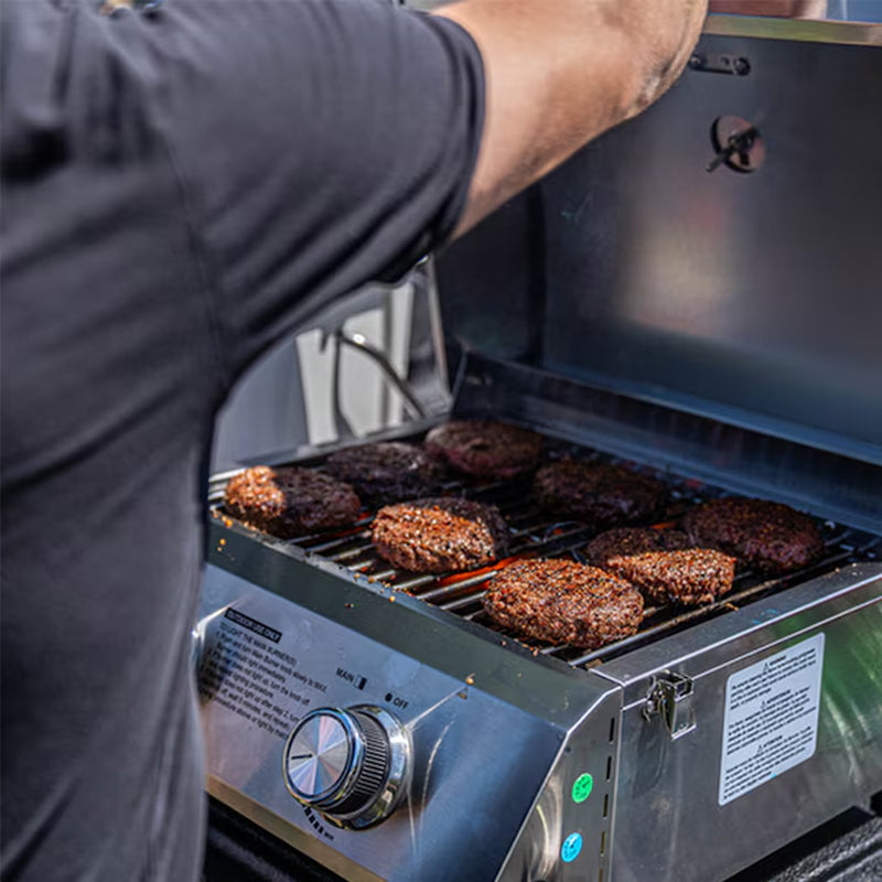 Stainless Steel 2-Burner Liquid Propane Gas Grill